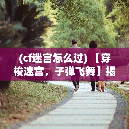 (cf迷宫怎么过) 【穿梭迷宫，子弹飞舞】揭秘枪战迷宫深处的生存秘诀：如何在极限环境下保持冷静，找到胜利之道。最强射手，非你莫属！